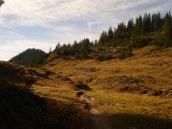 2013-10-26_Schildenstein (266).JPG